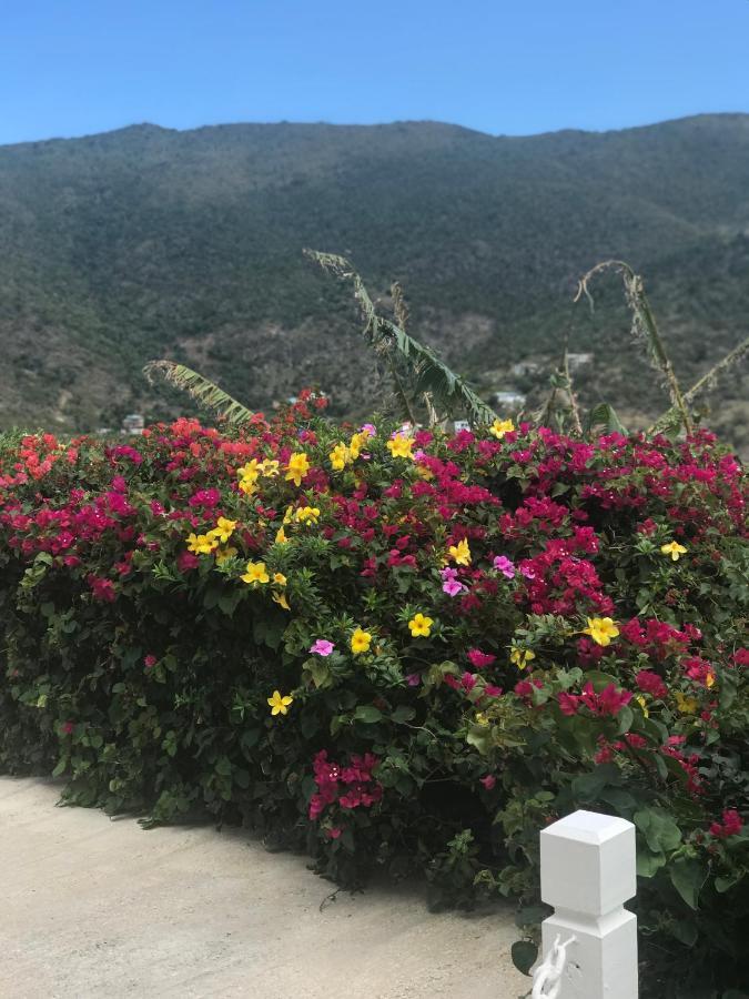 Ocean View Villas Jost Van Dyke Bagian luar foto